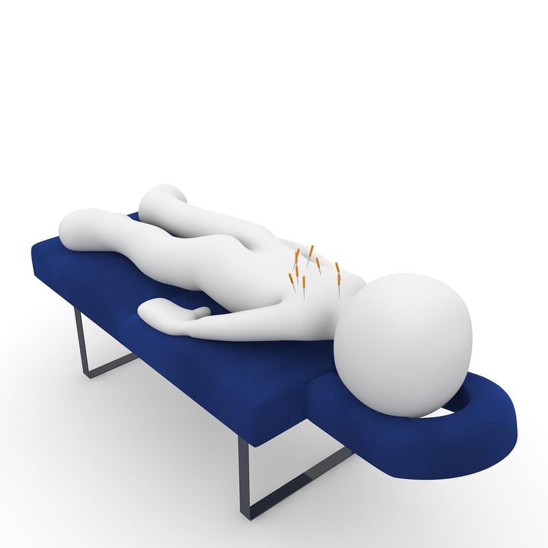 Physical Therapist